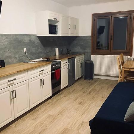 Ferienwohnung T2 Tout Confort, Depart Ski De Fond Depuis Le Jardin Les Rousses Exterior foto