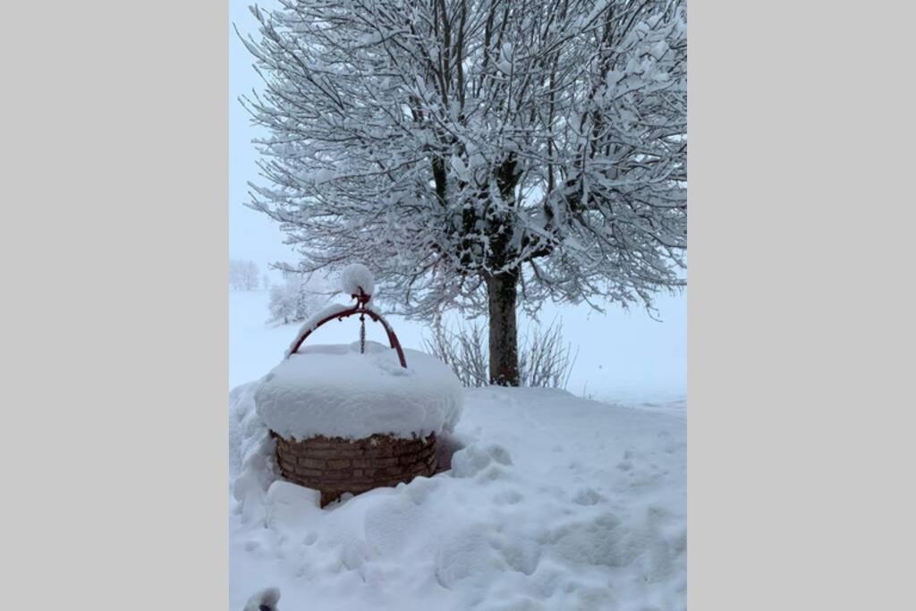 Ferienwohnung T2 Tout Confort, Depart Ski De Fond Depuis Le Jardin Les Rousses Exterior foto